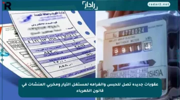 عقوبات جديدة تصل للحبس والغرامة لمستغل التيار ومخربي المنشآت في قانون الكهرباء